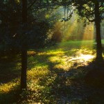 Sunlight Image- Jim Liestman flickr.com:photos:gods-art: